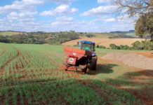 Lodo de Esgoto Impulsiona Agricultura e Reduz Custos para Produtores no Paraná