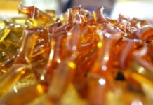 SC celebra a doçura e a tradição na 24ª edição da Feira do Mel em Florianópolis