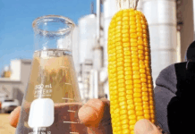 Etanol de Milho Ganha Força no Brasil e Impulsiona o Agronegócio Nacional