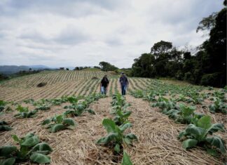 Epagri fortalece práticas agrícolas sustentáveis