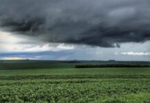 Paraná pede apoio federal para produtores afetados por perdas climáticas
