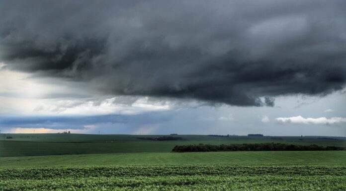 Paraná pede apoio federal para produtores afetados por perdas climáticas