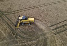 Record de produção agrícola no Paraná