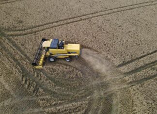 Record de produção agrícola no Paraná