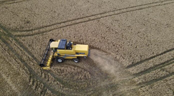 Record de produção agrícola no Paraná