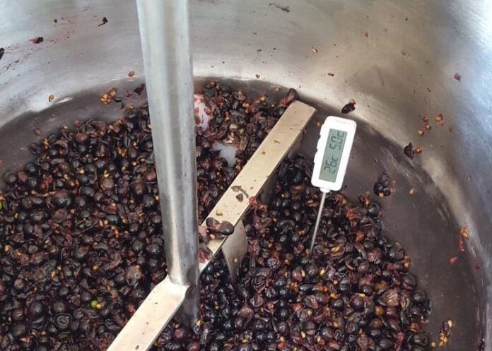 Processo de termovinificação.