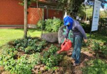 Tecnologia acessível fortalece a agricultura familiar no Show Rural 2026