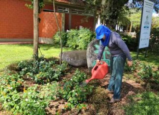 Tecnologia acessível fortalece a agricultura familiar no Show Rural 2026