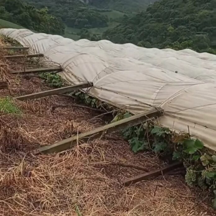 Propriedade produtor rafael