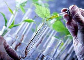 Bioinsumos deixam de ser nicho e viram estratégia no agro