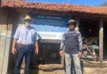 Programa fortalece pecuária leiteira e aumenta renda no Paraná