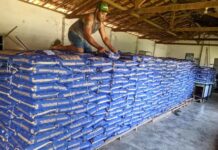 Clima e colheita lenta elevam cotações do feijão