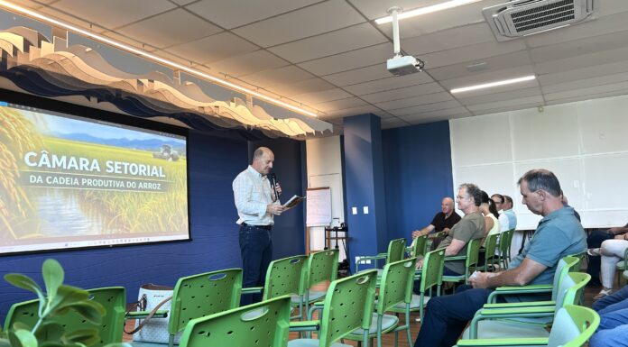 Arroz: setor pressiona por medidas urgentes