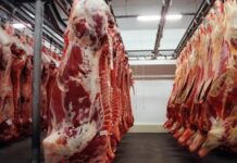 Carne bovina já supera fevereiro de 2025