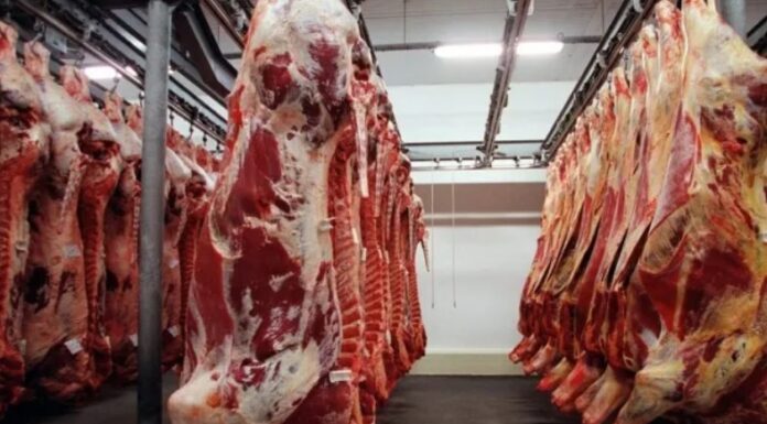 Carne bovina já supera fevereiro de 2025