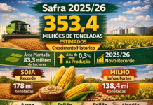Grãos Mantêm Ritmo Histórico de Produção
