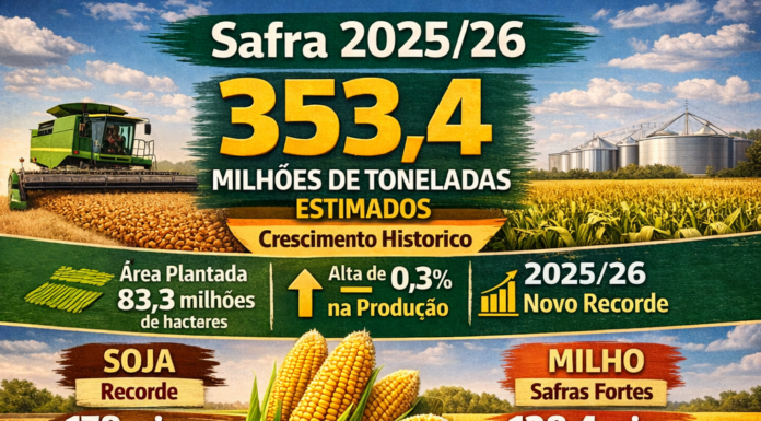 Grãos Mantêm Ritmo Histórico de Produção