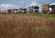 Soja em alta, logística sob pressão