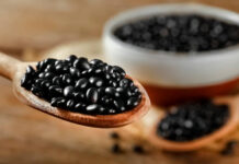 Paraná celebra Dia Mundial do Feijão com alta produção