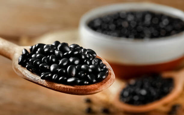 Paraná celebra Dia Mundial do Feijão com alta produção