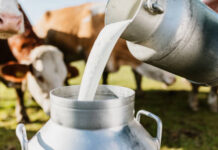 Leite no Sul fecha fevereiro a R$ 1,92