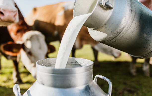 Leite no Sul fecha fevereiro a R$ 1,92