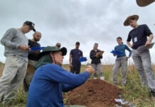 Pesquisa da Epagri coloca agricultor como protagonista na análise do solo