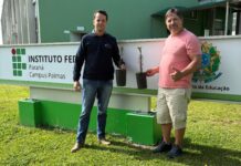 Mudas enxertadas de araucária são plantadas no IFPR