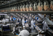 Frango do Paraná chega a 150 mercados internacionais