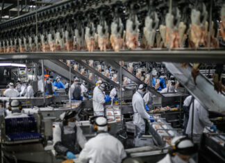 Frango do Paraná chega a 150 mercados internacionais