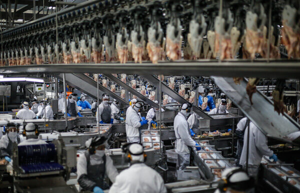 Frango do Paraná chega a 150 mercados internacionais