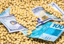 Cobrança de royalties na soja transgênica volta ao debate no Congresso