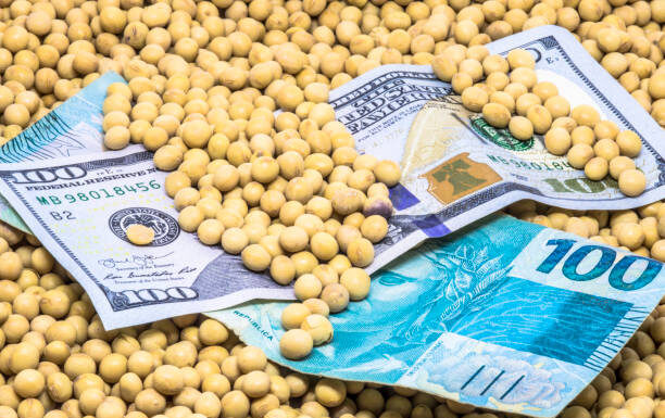 Cobrança de royalties na soja transgênica volta ao debate no Congresso