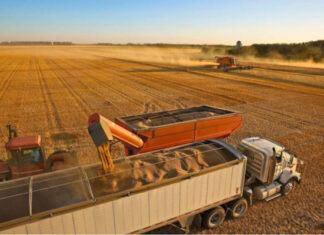 Safra brasileira de grãos deve atingir novo recorde em 2025/26