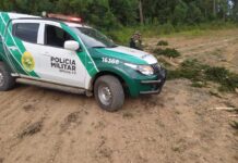 Corte irregular de araucárias reforça alerta ambiental no Paraná