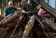 Gigante da terra: mandioca de 84k vira destaque