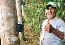 Seu Arlindo, de Capixaba-AC prova que o agro não tem idade