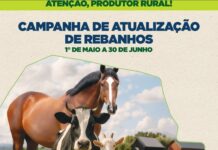 Atualização de Rebanhos 2026: Prazo e Regras