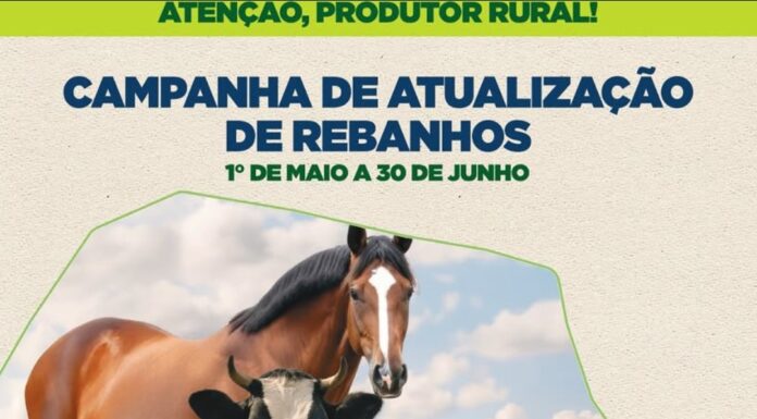 Atualização de Rebanhos 2026: Prazo e Regras