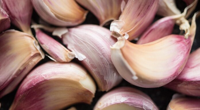 Crise no alho preocupa produtores e acende alerta no campo brasileiro