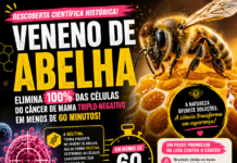 Melitina: o segredo das abelhas contra o câncer