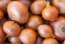Importação de cebola cresce e cenário muda no Brasil