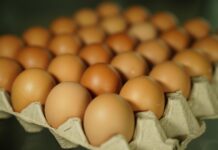 Após Quaresma, preços dos ovos caem novamente
