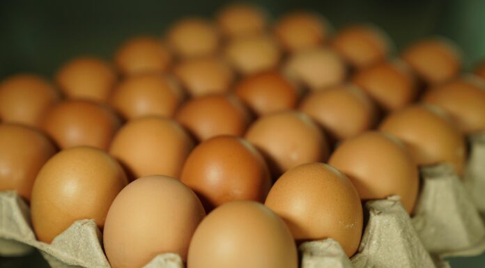 Após Quaresma, preços dos ovos caem novamente