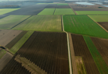 Aplicativo pioneiro facilita regularização ambiental no campo paulista