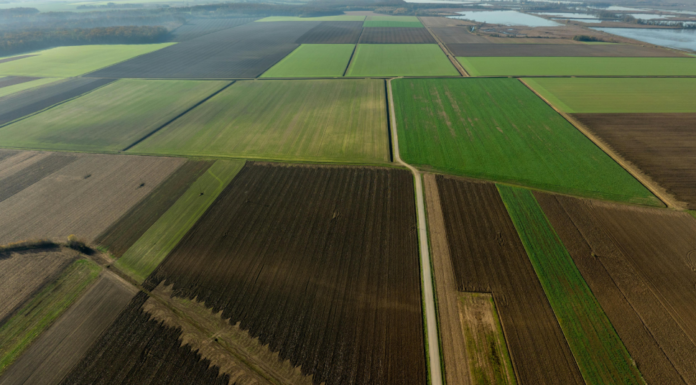 Aplicativo pioneiro facilita regularização ambiental no campo paulista