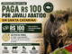 SC aprova projeto que prevê pagamento de R$ 100 por javali abatido no campo