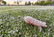 Maio traz frio e risco de geadas no Paraná