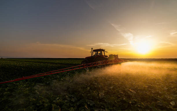 Glifosato pode ser proibido no Brasil e gera alerta no agronegócio