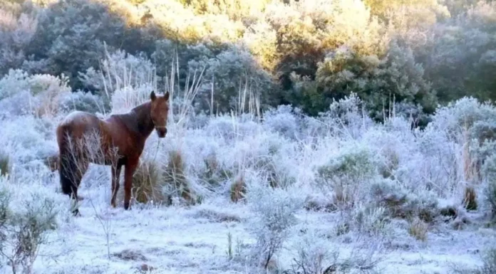 Sul enfrenta primeiros dias de frio intenso em 2026
